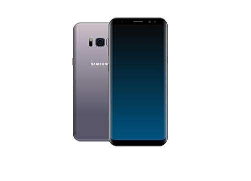 Samsung Galaxy S8 (G950F) - 64 GB - Grau (Generalüberholt) (64GB, Spacegrau)