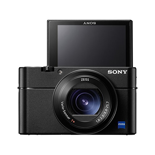Sony DSC-RX100 V Digitalkamera [Altes Modell]
