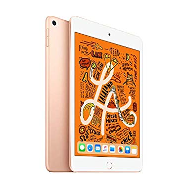 Apple iPad mini (Wi-Fi,64 GB) - Gold