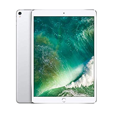 Apple iPad Pro (10,5",Wi-Fi,256GB) - Silber (Vorgängermodell)